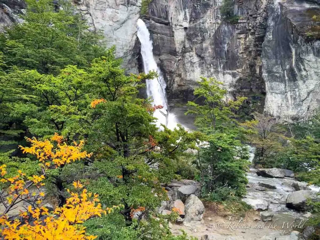 A view of a waterfall cascading down a sheer cliff amidst a dense forest. Autumnal colored leaves stand out among the green foliage, highlighting the changing seasons in El Chaltén. The Chorrillo del Salto hike in El Chalten leads to a lovely waterfall.