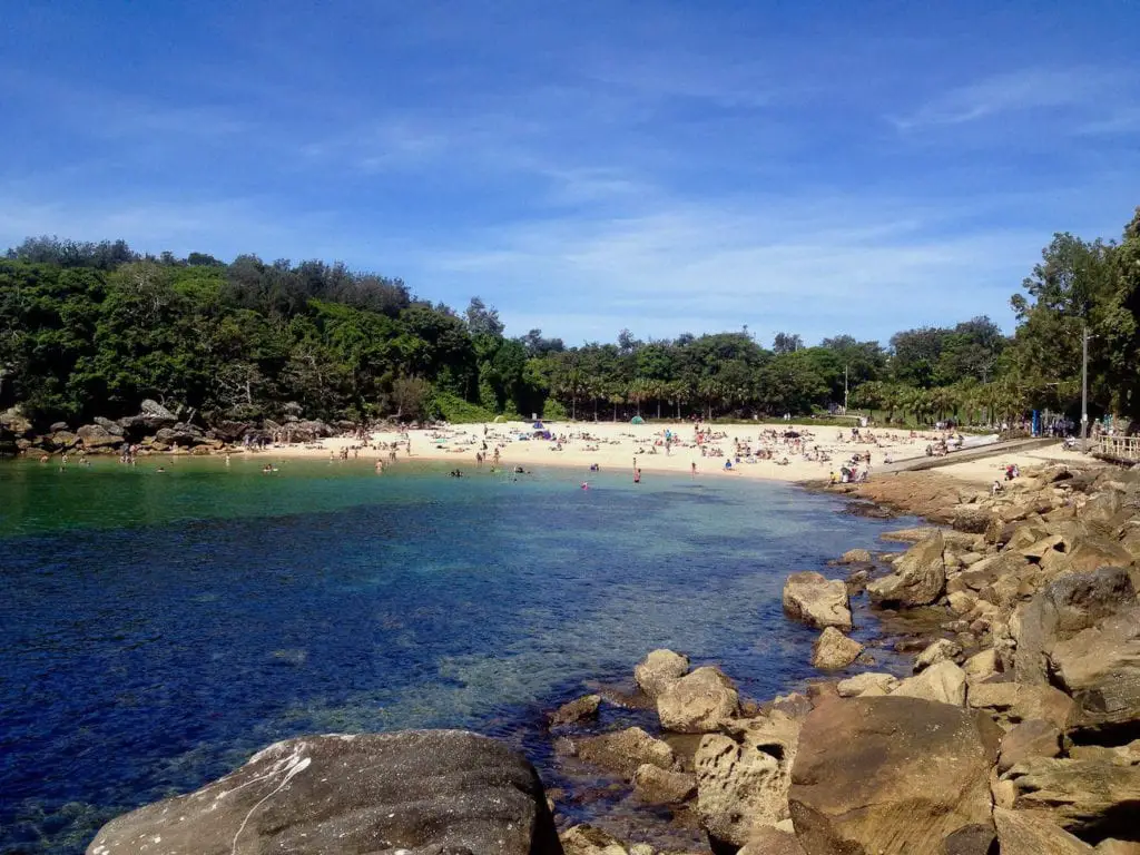 Shelly Beach with clear blue waters and crowds enjoying the sun on the sandy beach, surrounded by rocky terrain and dense green vegetation on a sunny day. Another of the popular beaches in Sydney is Shelly Beach, where you can even go snorkelling.