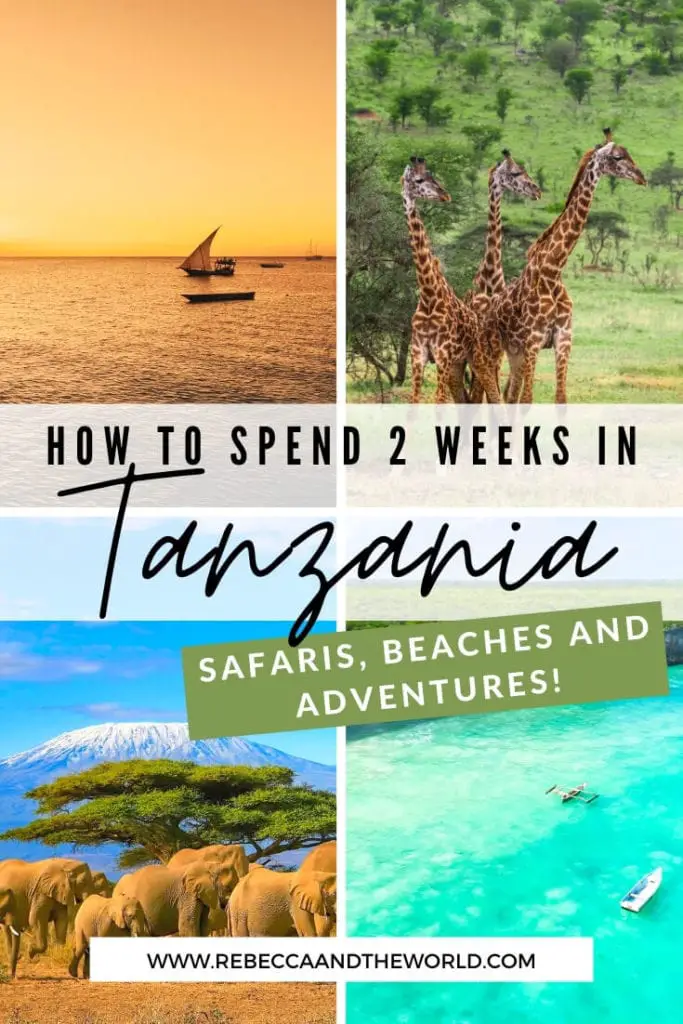 Looking for a unique Tanzania itinerary that mixes adventure, safaris, culture and beaches? Then this 2 weeks in Tanzania itinerary is right for you! | #Tanzania #EastAfrica #AfricaTravel #safari #TanzaniaItinerary #TanzaniaTravel #Zanzibar #Serengeti