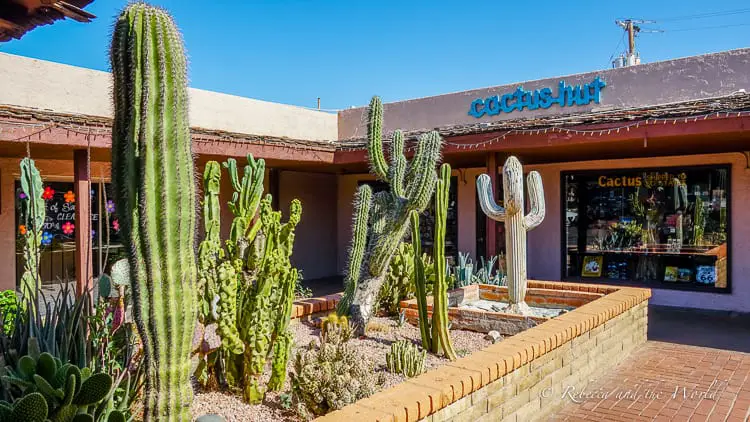 A weekend in Scottsdale, Arizona means the great outdoors, culinary delights, pampering and relaxation, and arts and culture. Here's everything you need to know before you visit Scottsdale and what to put on your Scottsdale itinerary! #scottsdale #experiencescottsdale #arizona #scottsdaleaz #scottsdalethingstodo #travelguide #weekendgetaway