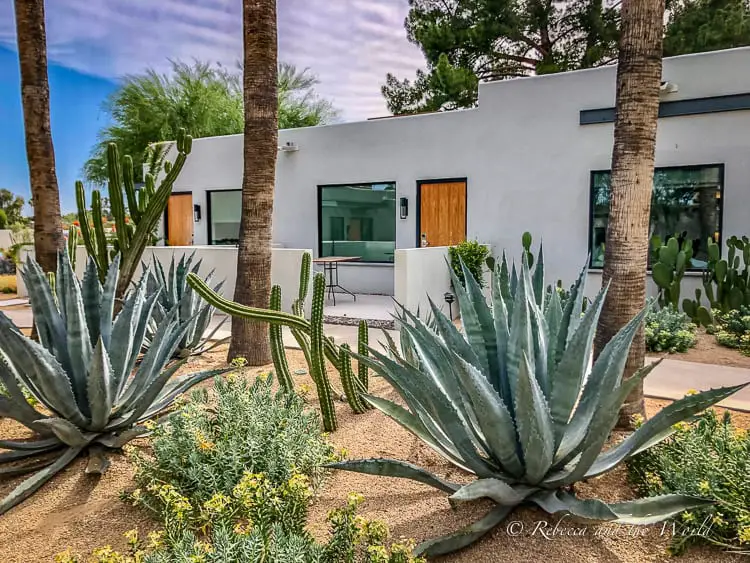 The outside of a white bungalow at the Andaz Scottsdale hotel, showcasing large agave plants and a variety of cacti in a desert landscaped garden, with the clean lines of the bungalow's white exterior and wooden door in view.