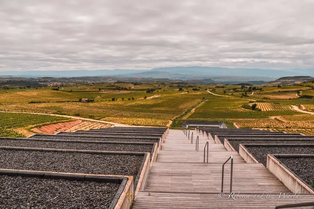 Overlooking view from a winery in La Rioja, showcasing the geometric patterns of vineyard plots, with a dramatic sky overhead. The views from Bodegas Baigorri are gorgeous - it's a must-visit winery in La Rioja.