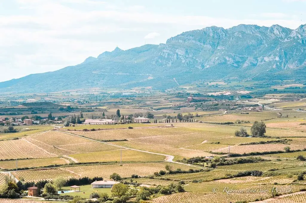 A sweeping vista of La Rioja's wine region, with vast vineyards stretching across rolling hills, intersected by country roads and dotted with small buildings, all set against the dramatic backdrop of the craggy Sierra de Cantabria mountains under a soft blue sky. Enjoy the gorgeous views while on a La Rioja wine tour.