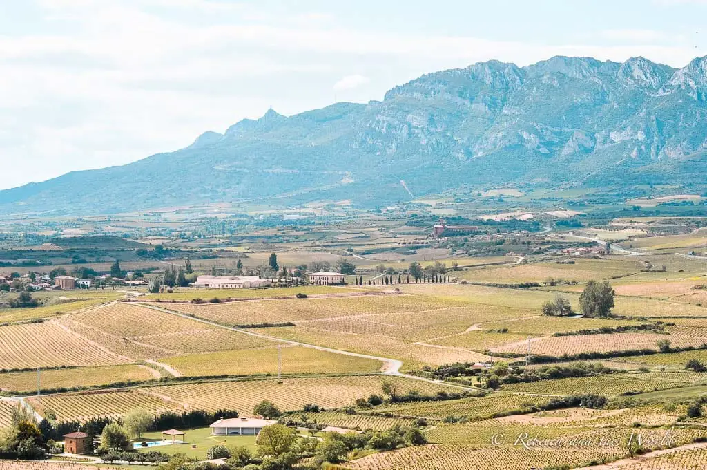 How to plan a La Rioja wine tour - Rebecca and the World