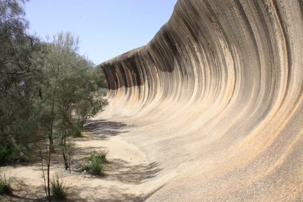 Wave Rock, a large natural rock formation shaped like a tall breaking wave, with bushland around it. Wave Rock is an unusual rock formation in Western Australia that resembles a wave about to crash - add it to you Australia bucket list so you can tell your friends you went surfing in Australia!