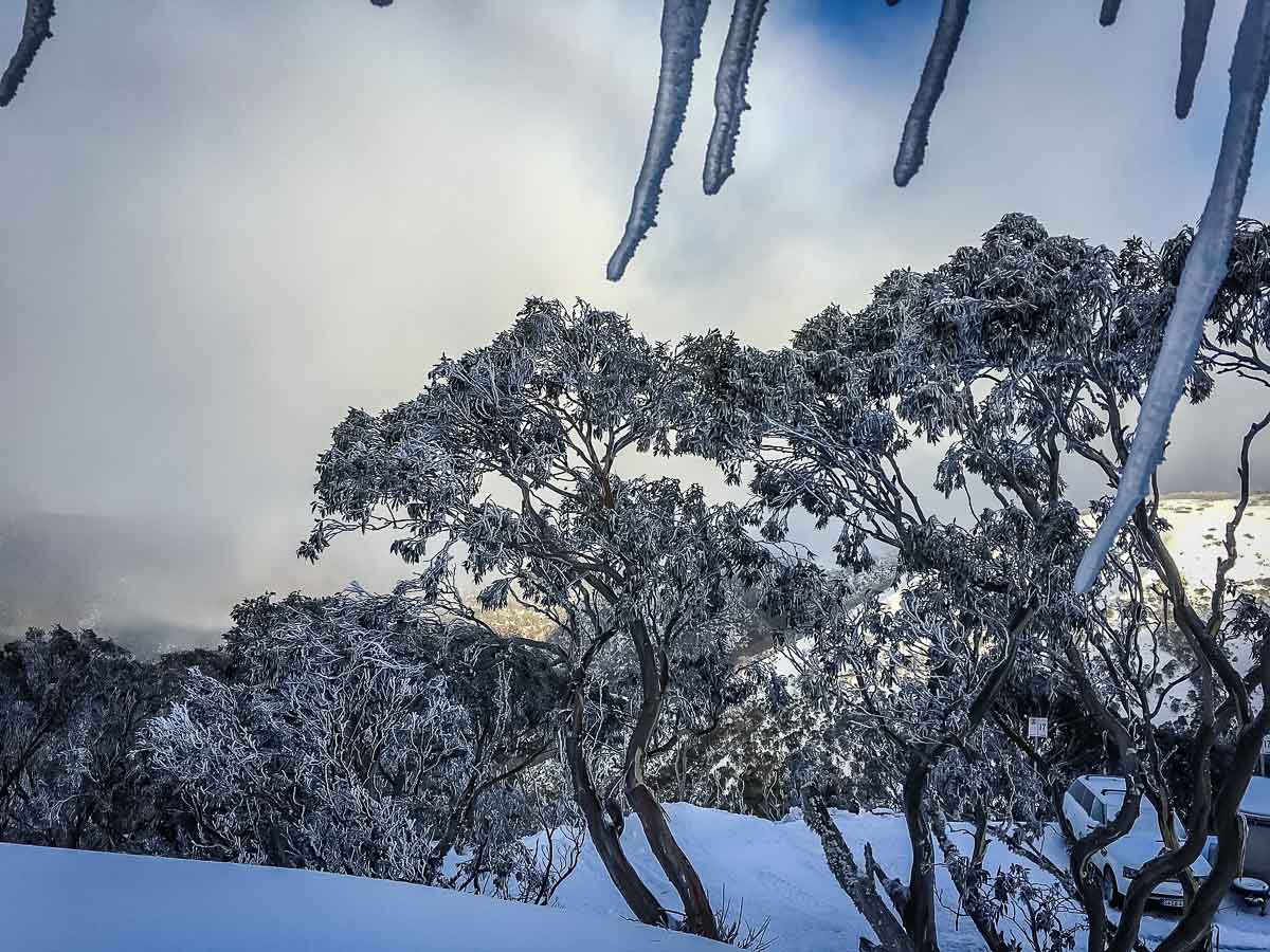 Many people may be surprised to know that you can go skiing in Australia at one of a handful ski resorts in the south of the country