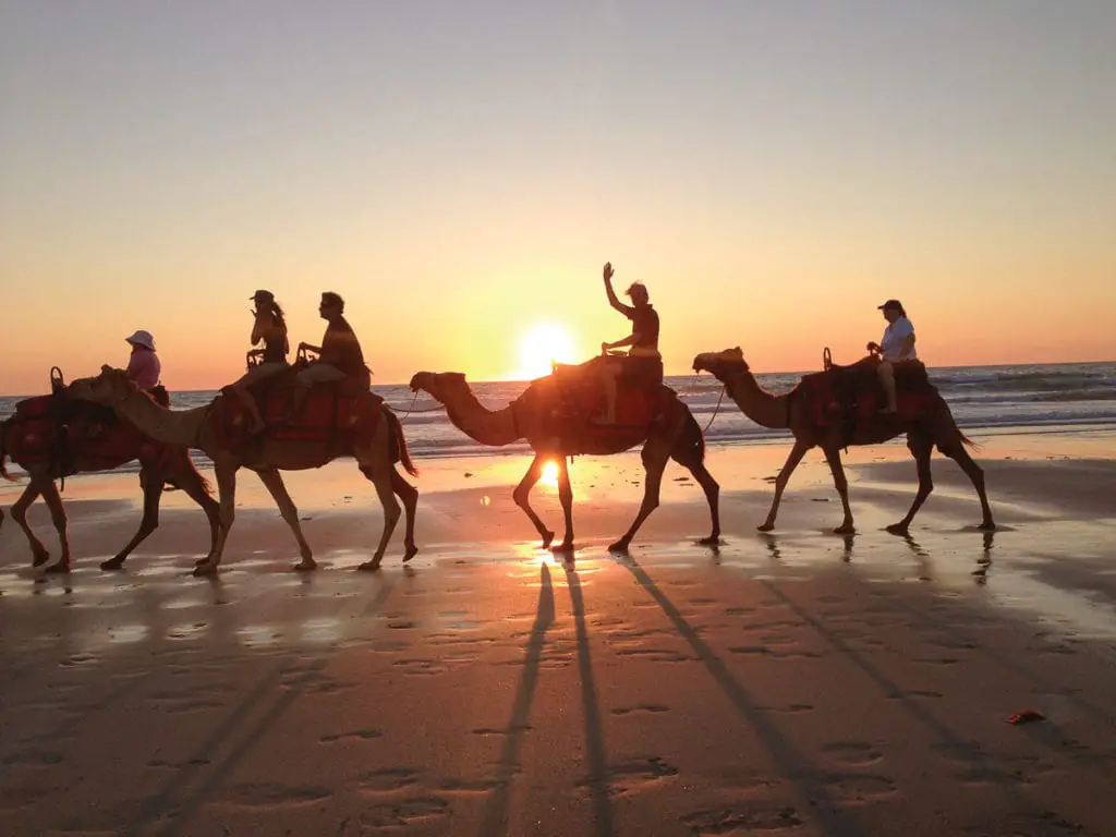 Silhouettes of a line of camels and riders walking along a beach at sunset, with the sun low on the horizon. The silhouetted camels on Cable Beach in Broome, Western Australia is an iconic image of Australia.