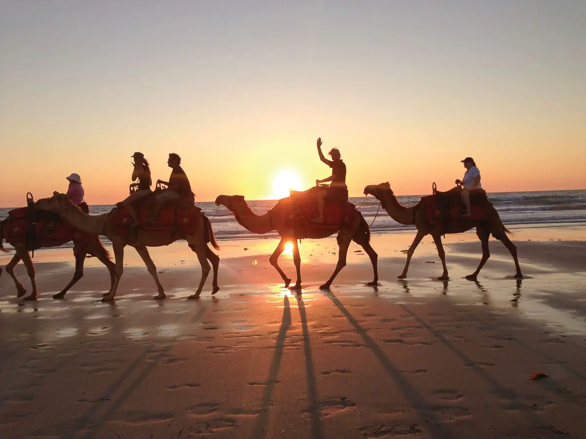 The silhouetted camels on Cable Beach in Broome, Western Australia is an iconic image of Australai