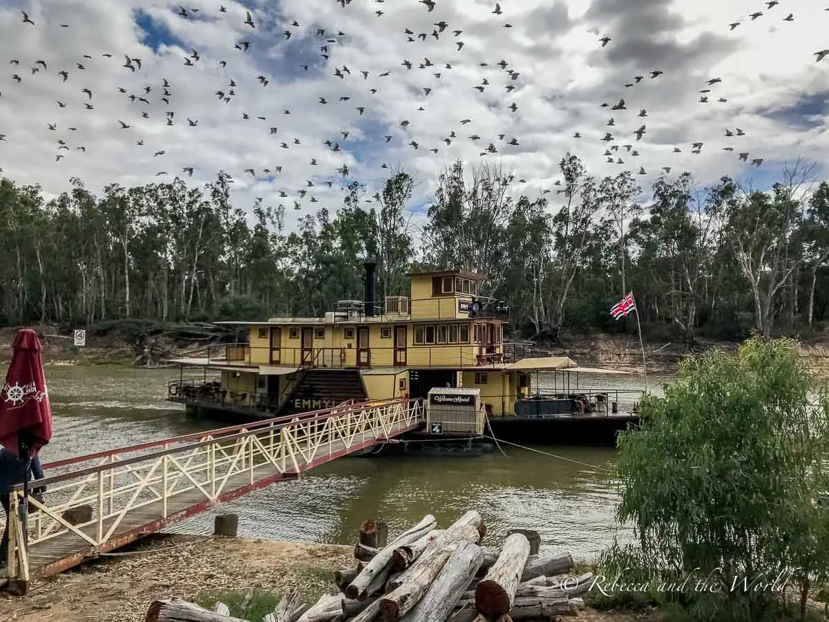 Echuca is a great place to visit in Australia. While it's a small town there's plenty to keep you busy, including taking a ride on one of the oldest operating paddlesteamers in the world