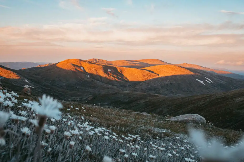 Golden light of sunset illuminating rolling hills with patches of snow, a serene highland landscape. Mount Kosciuszko is the highest mountain in Australia and can easily be climbed.