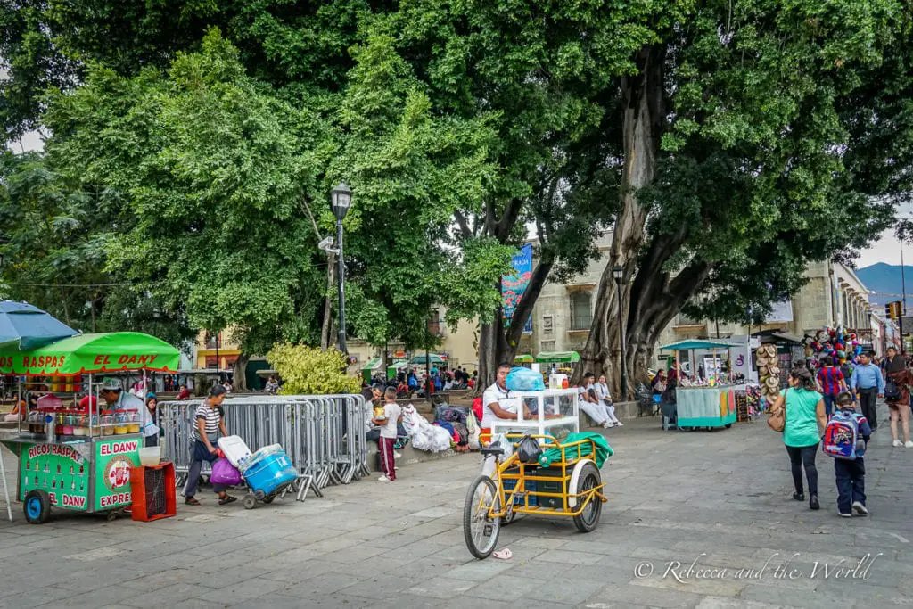 A lively outdoor market with numerous vendors and carts under the shade of large trees. People are seen walking around, shopping, and interacting with vendors. A green cart selling shaved ice is prominently displayed. The Zocalo is one of the best places to visit in Oaxaca day or night.