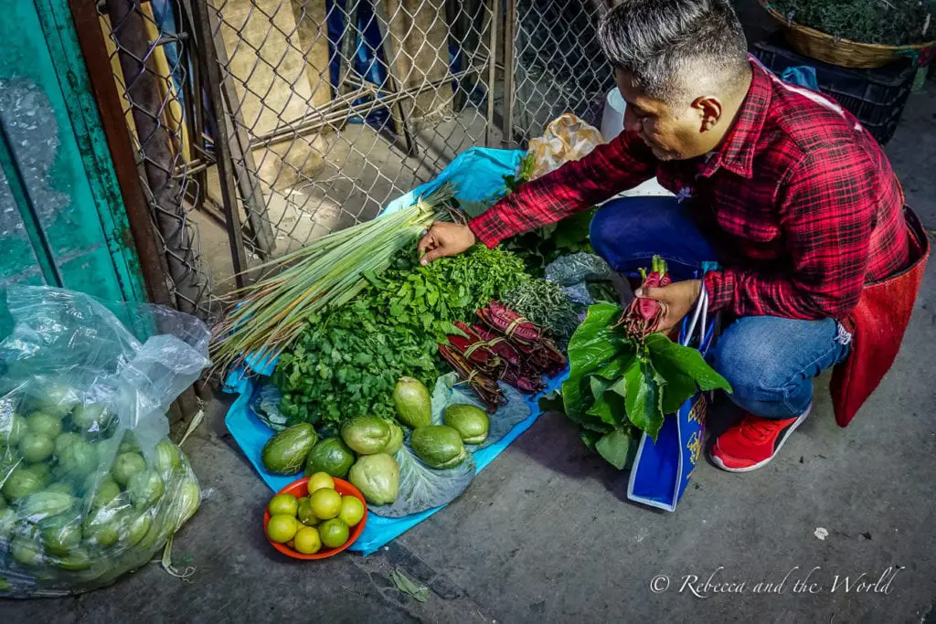 Our tour guide Omar kneeling beside a display of fresh produce, including green tomatoes, herbs, chilies, and limes on a blue tarp. The vendor is selecting items and bundling them for sale, surrounded by metal grates and walls. Omar of Oaxacking is a fantastic tour guide who will show you all the amazing foods to eat in Oaxaca.