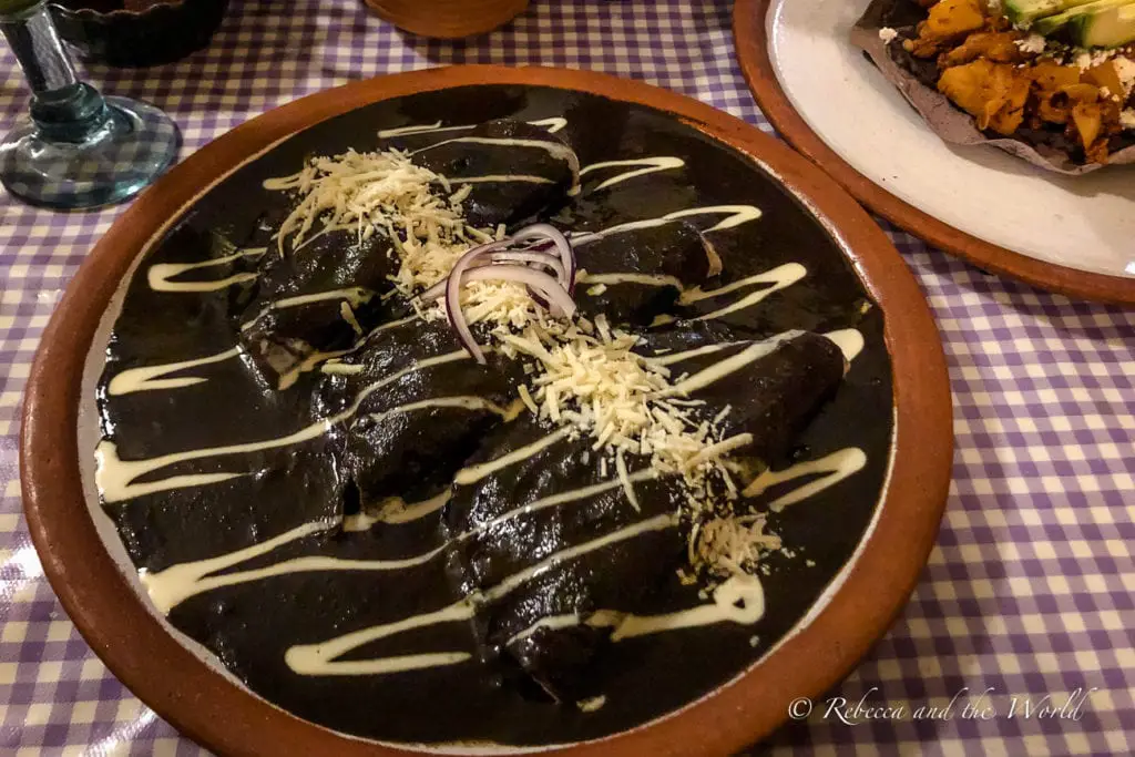 A traditional Mexican dish is served on a terracotta plate, featuring enchiladas smothered in dark mole sauce, drizzled with cream, and sprinkled with cheese and onion slices. A second plate with a taco is partially visible in the background. The mole at Oaxacan restaurant Cabuche is rich and earthy and very moreish.