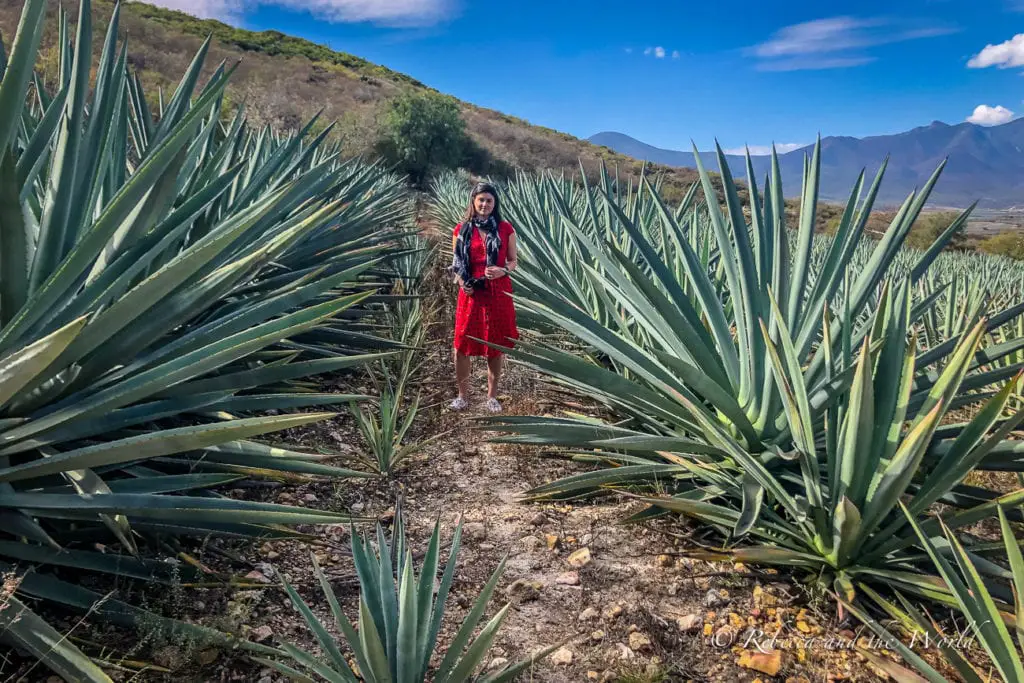 A woman - the author of this article - stands on a dirt path amidst tall agave plants, with mountains in the distance. She is wearing a red dress. A mezcal tour is one of the best things to do in Oaxaca to discover how this liquor is made