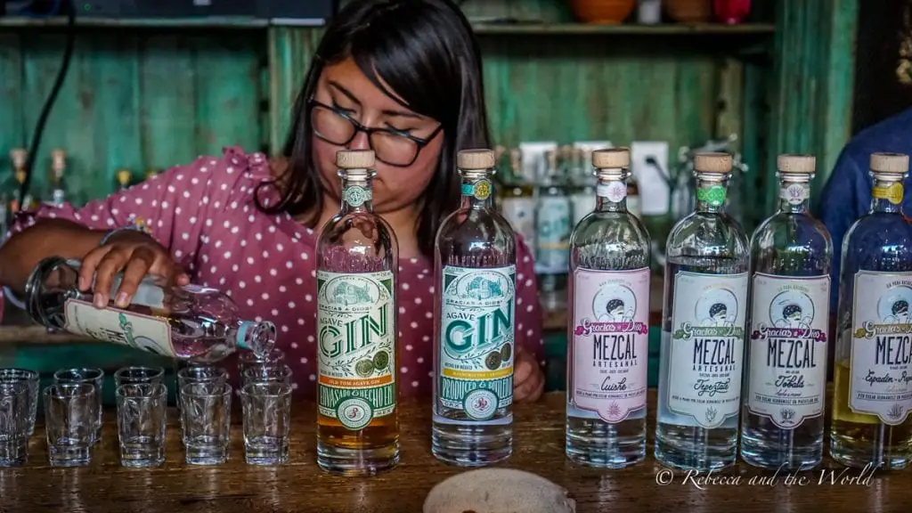 Bartender pouring mezcal into small glasses with bottles of artisanal agave gin and mezcal on display. Mezcal is the drink of choice in Oaxaca - most of this alcoholic beverage is produced in Oaxaca state.