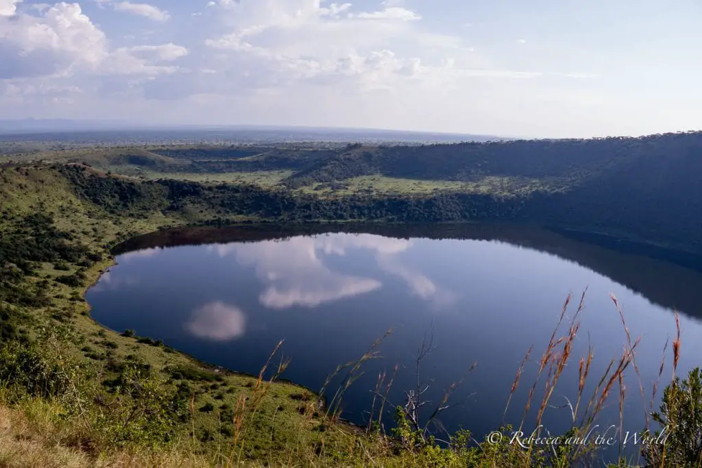 An expansive view of a calm crater lake reflecting clouds, surrounded by green hills and a clear sky, with dry grasses in the foreground. The Crater Drive in Uganda's Queen Elizabeth National Park is stunning.