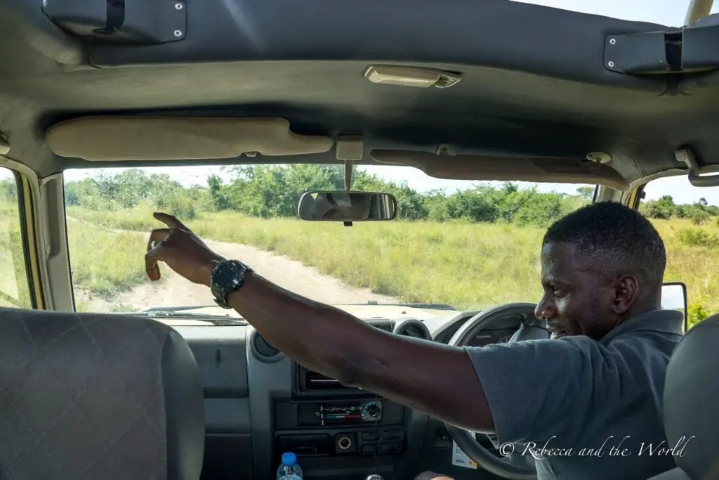 Inside a vehicle, a man with short-cropped hair, wearing a watch, is driving and pointing forward. The view through the windshield shows a dirt track and green bushland. Hiring a private driver guide is the best way to get around Uganda. This is my legendary guide Shaun who showed me through Uganda!