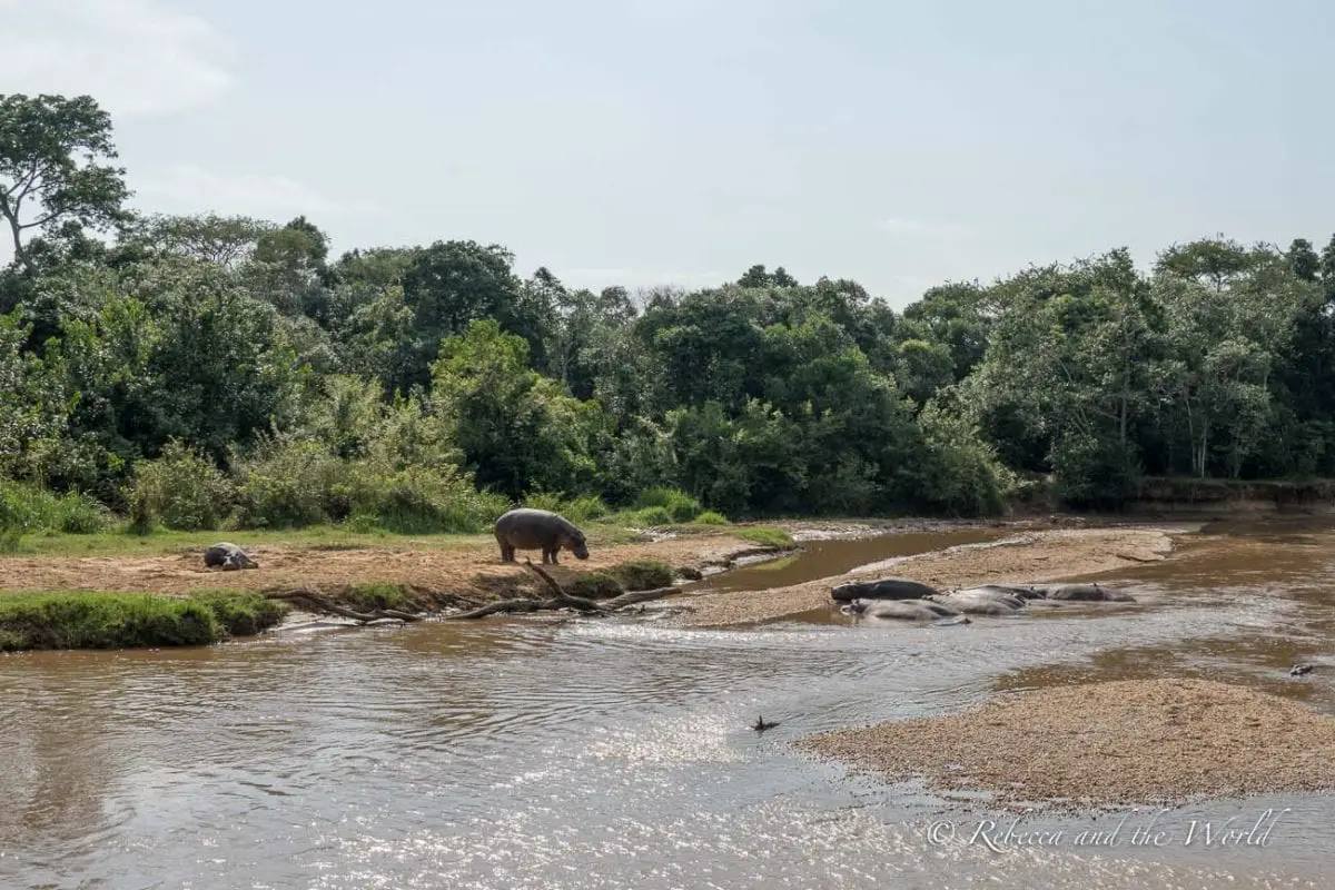 If you want to cross the border here from Uganda to DRC, you'll need to get past security!