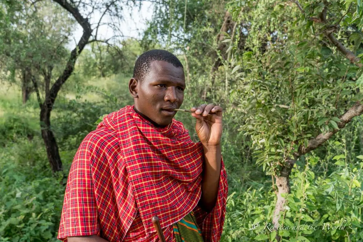 Isoitok Camp Manyara can arrange a medicine walk with a Maasai guide