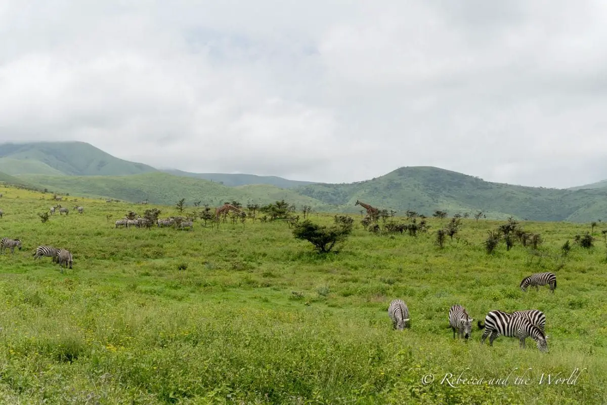 One of the best places to visit in Tanzania is the Serengeti