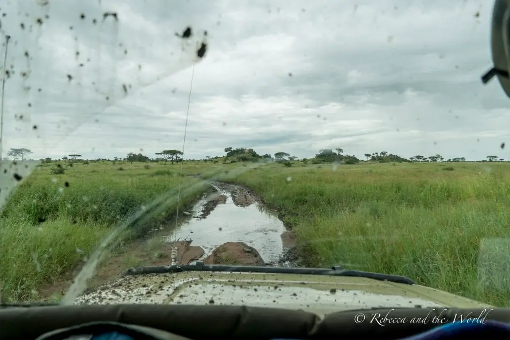 View from inside a vehicle showing a muddy road ahead surrounded by greenery under a cloudy sky. The windshield is speckled with mud. Road conditions in Tanzania can be challenging for people considering self drive Tanzania.