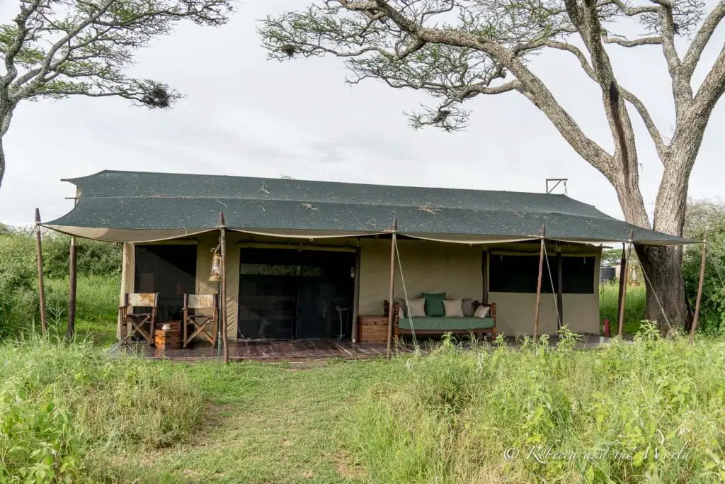 A canvas tent with a front porch set in a green landscape, shaded by a large tree. One of the best places to stay in Ndutu in Tanzania is Lemala Ndutu, a mobile tented camp.