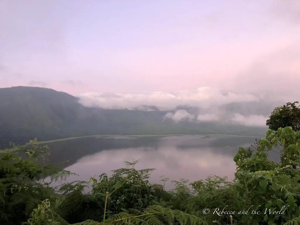 A serene lake surrounded by lush hills covered in mist and low clouds, with vegetation in the foreground. Hike down into Empakai Crater to see flamingos and bushbucks.