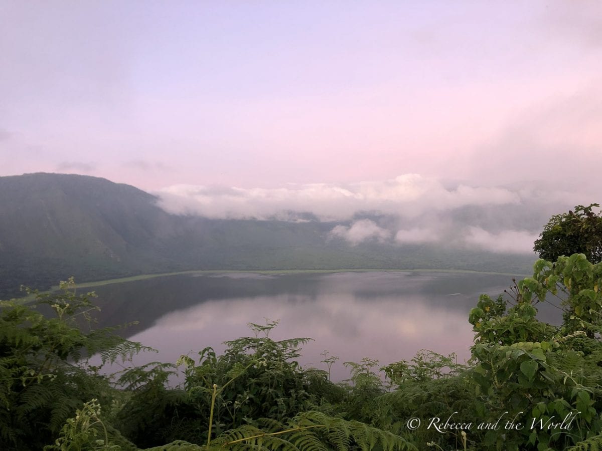 Hike down into Empakai Crater to see flamingos and bushbucks
