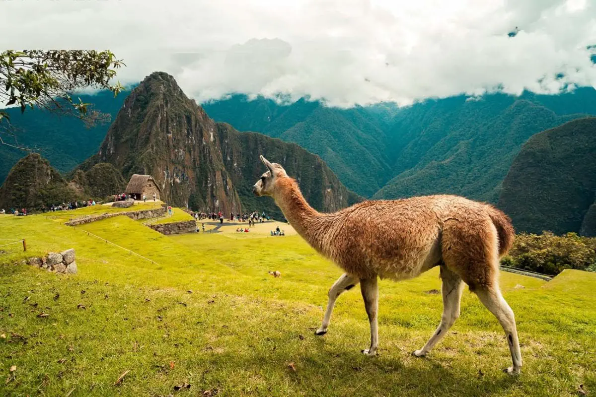 Peru is a country that's on many people's bucket lists because of the incredible Machu Picchu ancient ruin