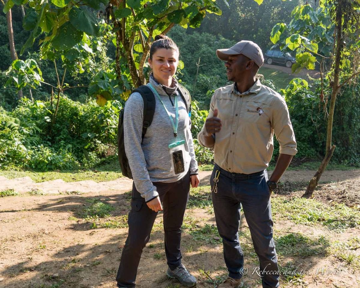 A safari guide explaining the surroundings to a tourist (the author of this article) in a lush green forest area, with a safari vehicle visible in the background. Me and Shaun before gorilla trekking in Uganda.