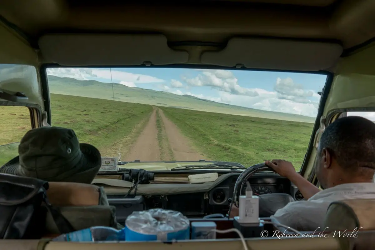 View from the back seat of a safari vehicle showing a guide driving along a dirt road through vast green plains under a partly cloudy sky. Driving through Ngorongoro Conservation Area in Tanzania.
