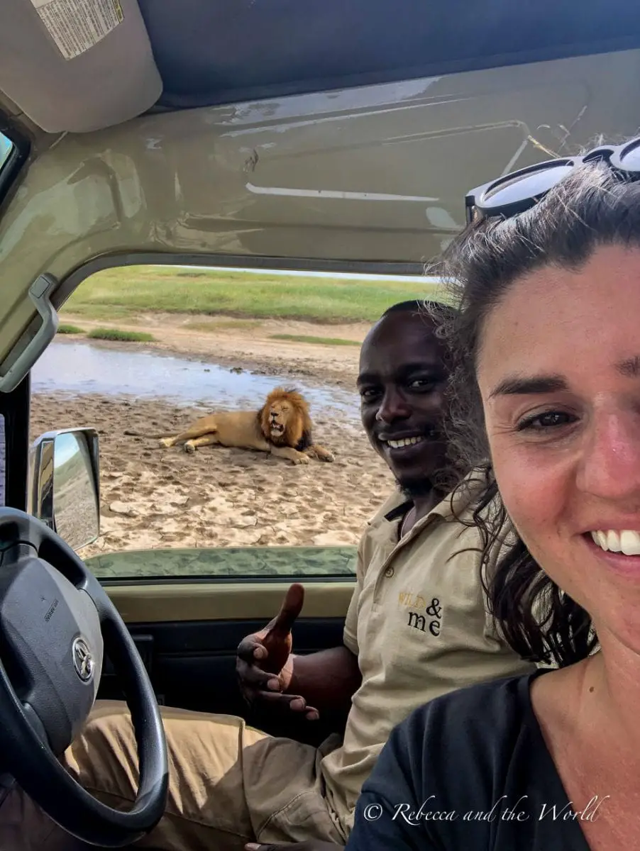 Taking a lion selfie in the Serengeti