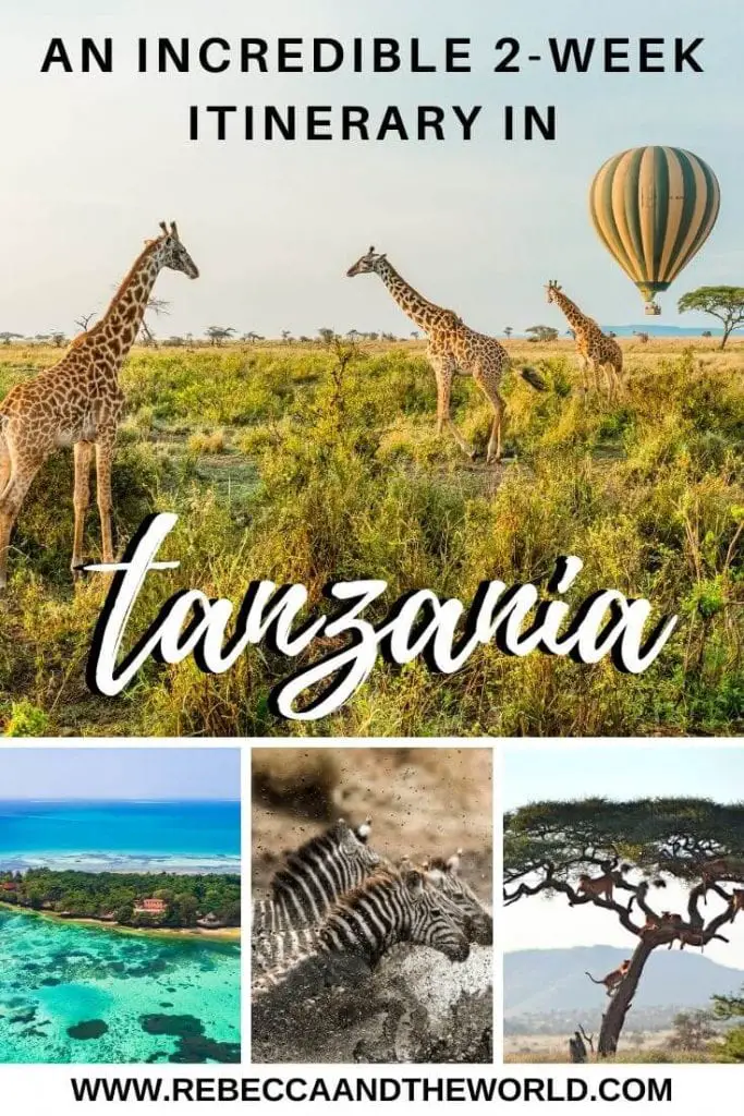 Looking for a unique Tanzania itinerary that mixes adventure, safaris, culture and beaches? Then this 2 weeks in Tanzania itinerary is right for you! | #Tanzania #EastAfrica #AfricaTravel #safari #TanzaniaItinerary #TanzaniaTravel #Zanzibar #Serengeti