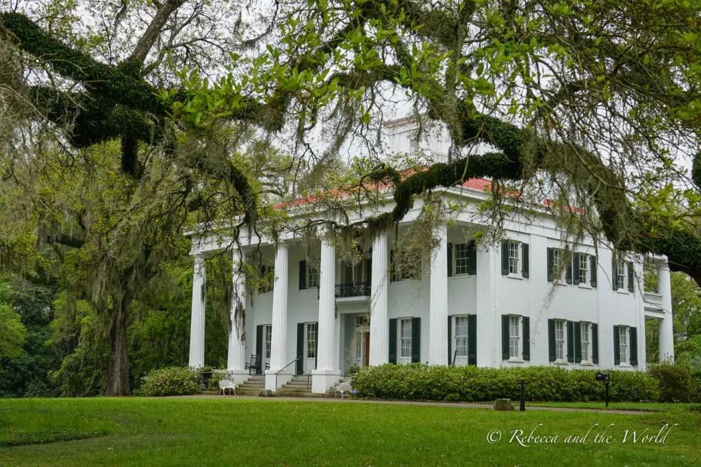 A close-up of a grand white mansion with a red roof, enveloped by mature trees and hanging Spanish moss, suggesting a sense of historical Southern elegance. One of the beautiful antebellum homes in Natchez, MS.