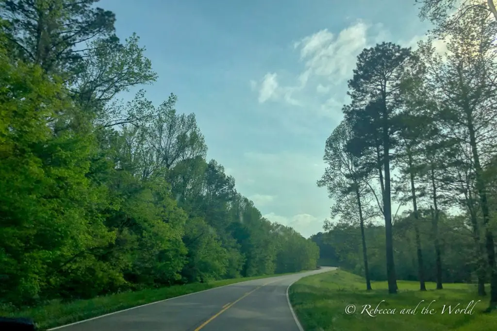 Winding road flanked by lush green trees under a partly cloudy sky, capturing the serene drive through Mississippi's countryside. The Natchez Trace Parkway is a beautiful road between Natchez, MS and Nashville, TN.