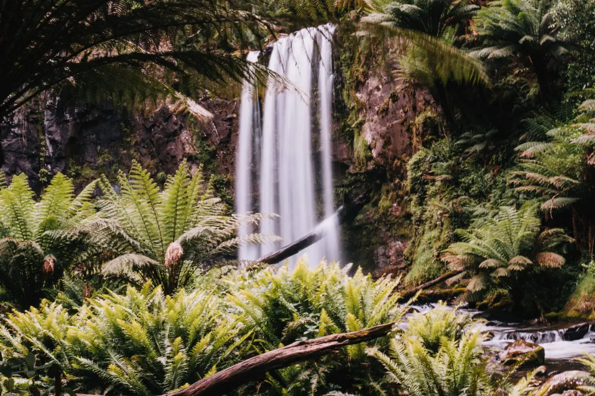 16 Best Day Trips From Melbourne Australia Rebecca And The World 16 Best Day Trips From Melbourne Australia Rebecca And The World