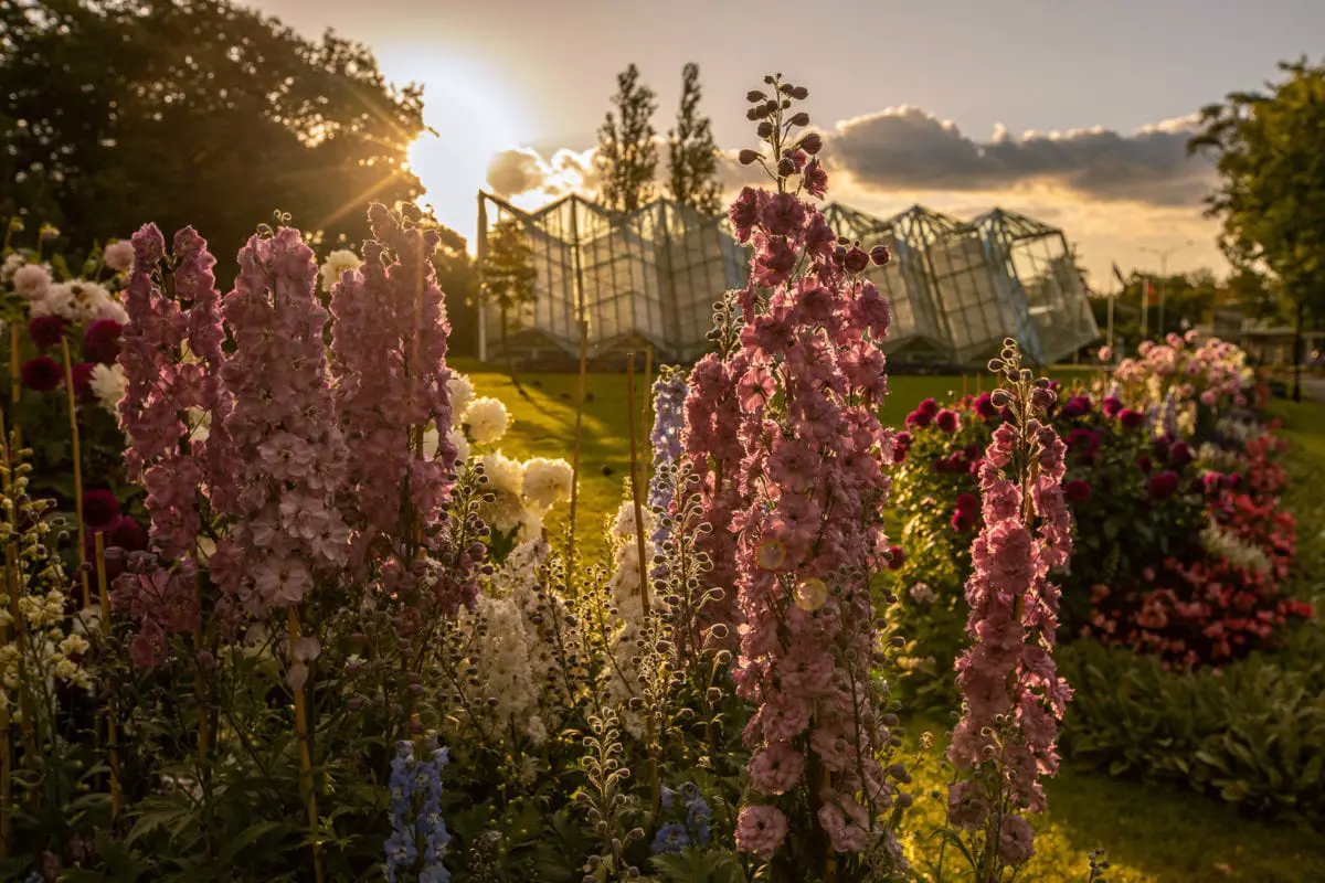 16 Best Day Trips From Melbourne Australia Rebecca And The World