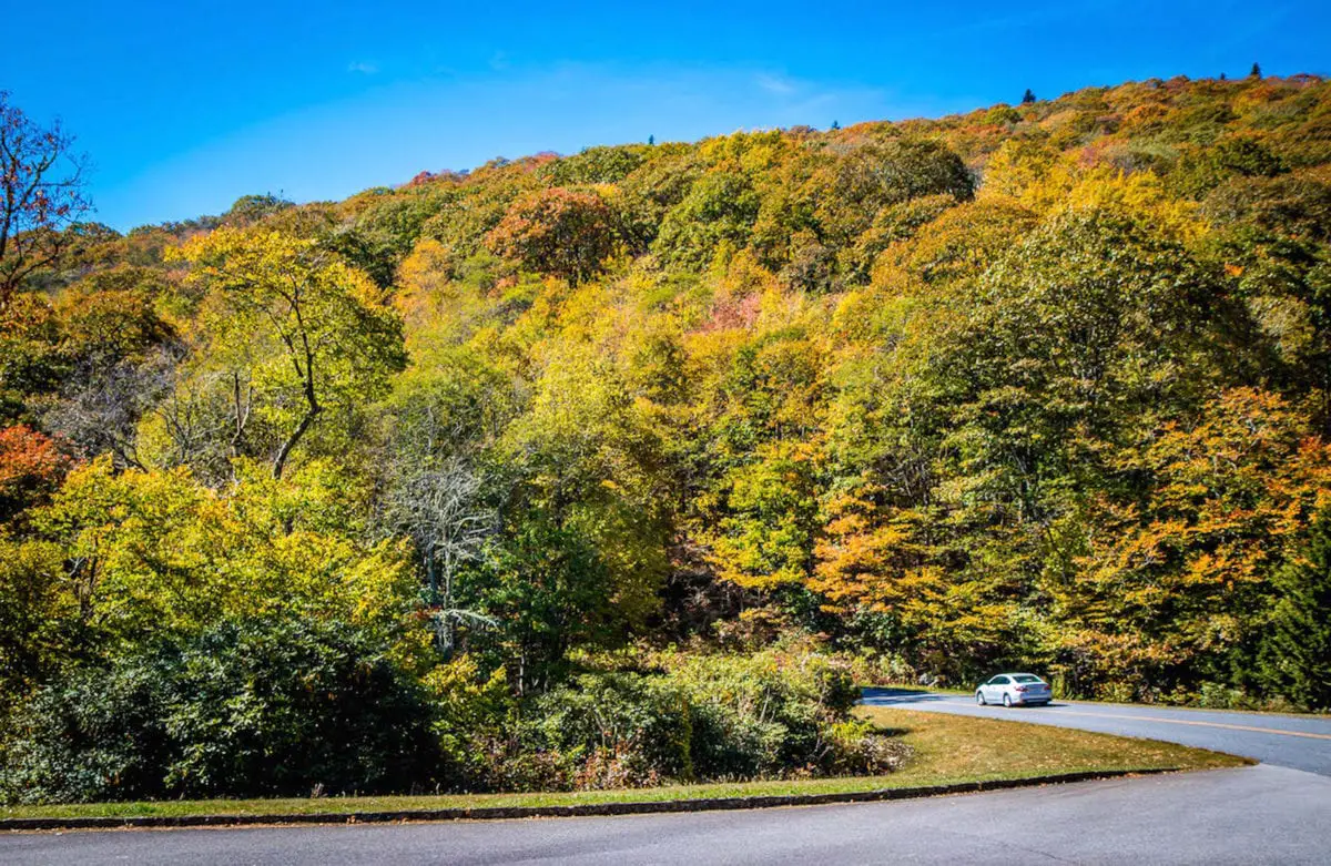 The Blue Ridge Parkway is one of the most beautiful USA road trips - visit in Fall to experience the changing colours of the leaves