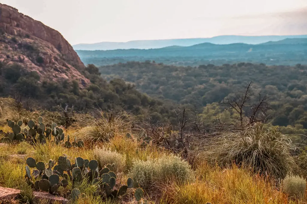 A hilly Texas landscape at Enchanted Rock State Natural Area with cacti in the foreground, rolling hills, and a vast expanse of trees under a partly cloudy sky. Texas Hill Country has so much to offer - bluebonnets, great food, tubing, music and culture.
