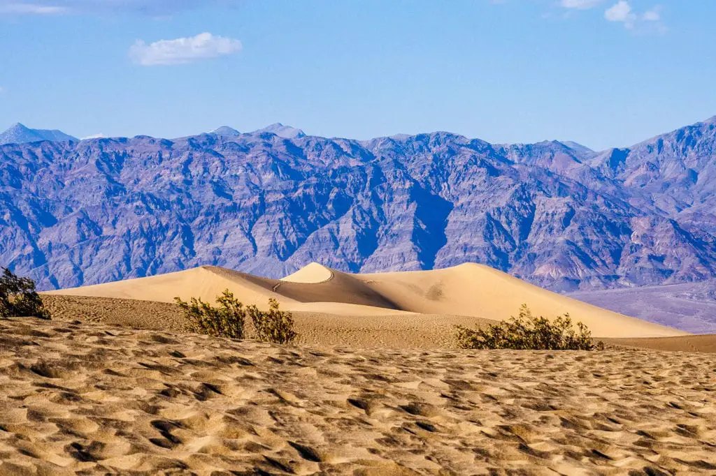 The serene landscape of Death Valley showing smooth, golden sand dunes in the foreground and rugged mountains in the background under a clear sky. Death Valley is one of the driest places in the USA.
