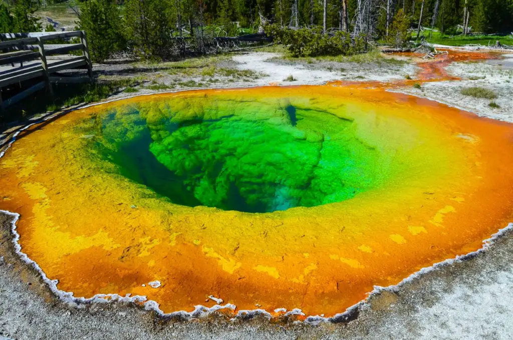 The striking colors of the Grand Prismatic Spring in Yellowstone National Park, with bright orange and yellow microbial mats surrounding deep blue waters. Yellowstone National Park is one of the most incredible places to visit in the United States - you'll need a few days to explore it all!