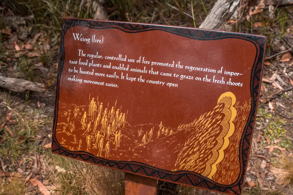 Informational sign with text about the cultural use of fire, featuring indigenous art designs around the border, set against a natural bushland backdrop. The Koorie Cultural Walk is one of the lesser-known things to do on the Great Ocean Road but it's worthwhile to learn about First Nations culture