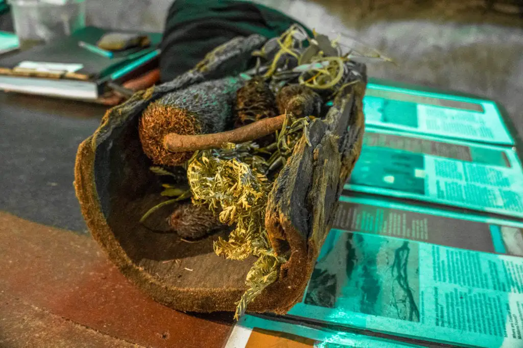 Close-up of a wooden carry-all filled with native plants, displayed on a table with educational text in the background. 