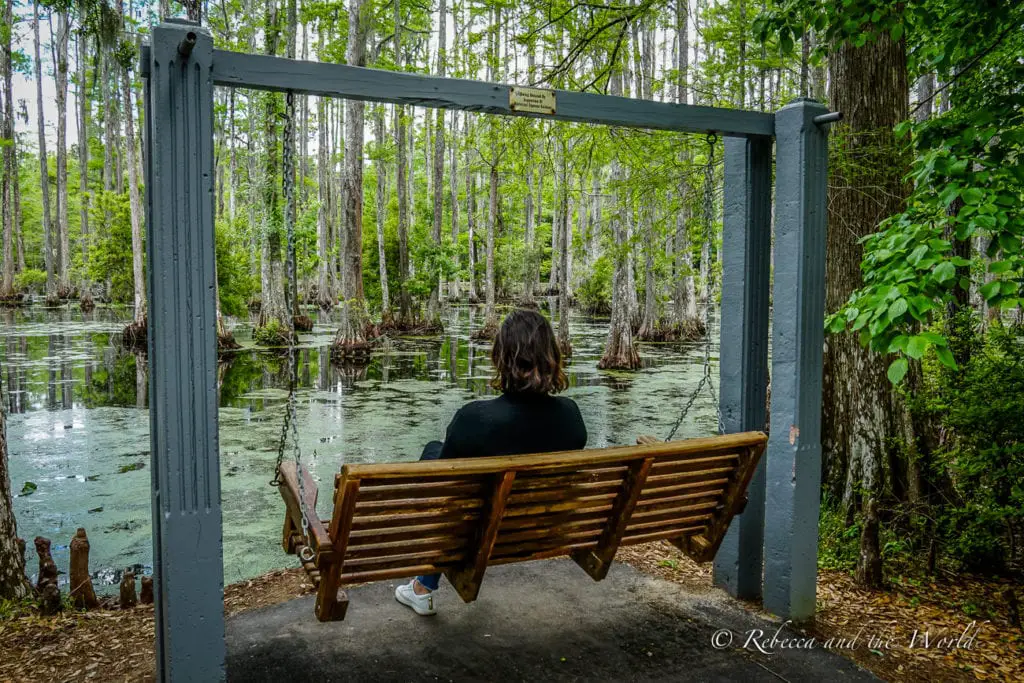 A person - the author of this article - sitting on a wooden swing in a tranquil forest setting, overlooking a serene swamp with cypress trees and reflective water.