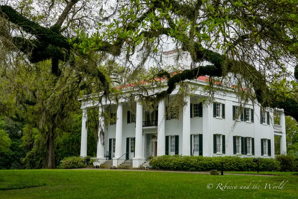 A close-up of a grand white mansion with a red roof, enveloped by mature trees and hanging Spanish moss, suggesting a sense of historical Southern elegance.