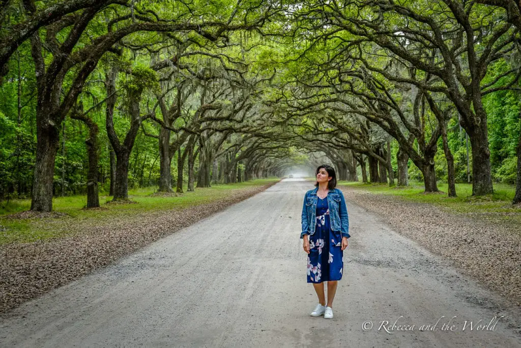 A long avenue flanked by a canopy of live oak trees draped with Spanish moss, with a woman - the author of this article - standing in the middle of the gravel path, looking up towards the trees.