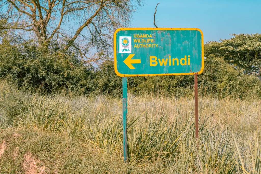 A weathered road sign reading "Uganda Wildlife Authority - Bwindi" with an arrow pointing left, surrounded by tall grass and trees. The sign to Bwindi Impenetrable Forest, one of the most popular places to see gorillas in Uganda.