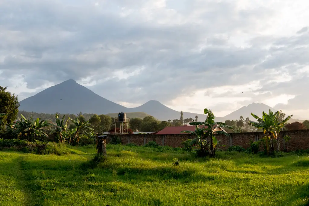 A landscape with green fields and banana trees in the foreground, with two conical mountains in the distance under a cloudy sky. Gorilla trekking in Uganda and Rwanda are most popular, although it is possible to also go gorilla trekking in the Democratic Republic of the Congo.