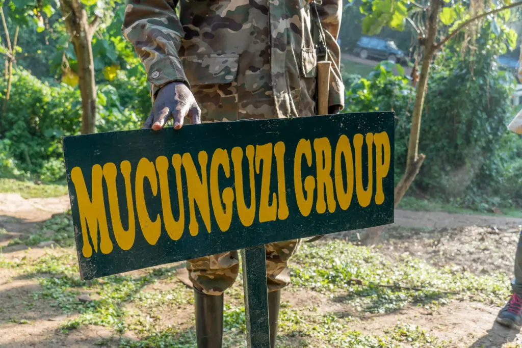 A close-up of a black sign with yellow lettering that reads "MUCUNGUZI GROUP," held by a person in a camouflage uniform.