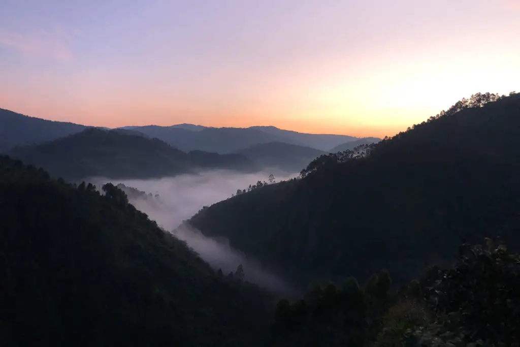 A dusk scene with layers of hills partially enveloped in mist, under a purple sky with hints of orange near the horizon. The mist over the valley early in the morning in Uganda's Bwindi Impenetrable National Forest.